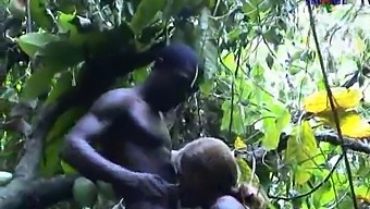 Interracial Romance In Africa With A French Twist