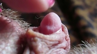Intense Close-Up Of My Throbbing Clit Head During Masturbation