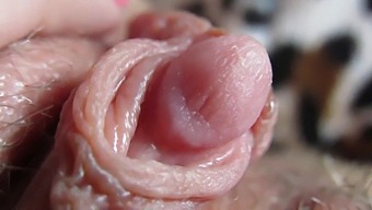 Get Up Close And Personal With My Big Clit Head